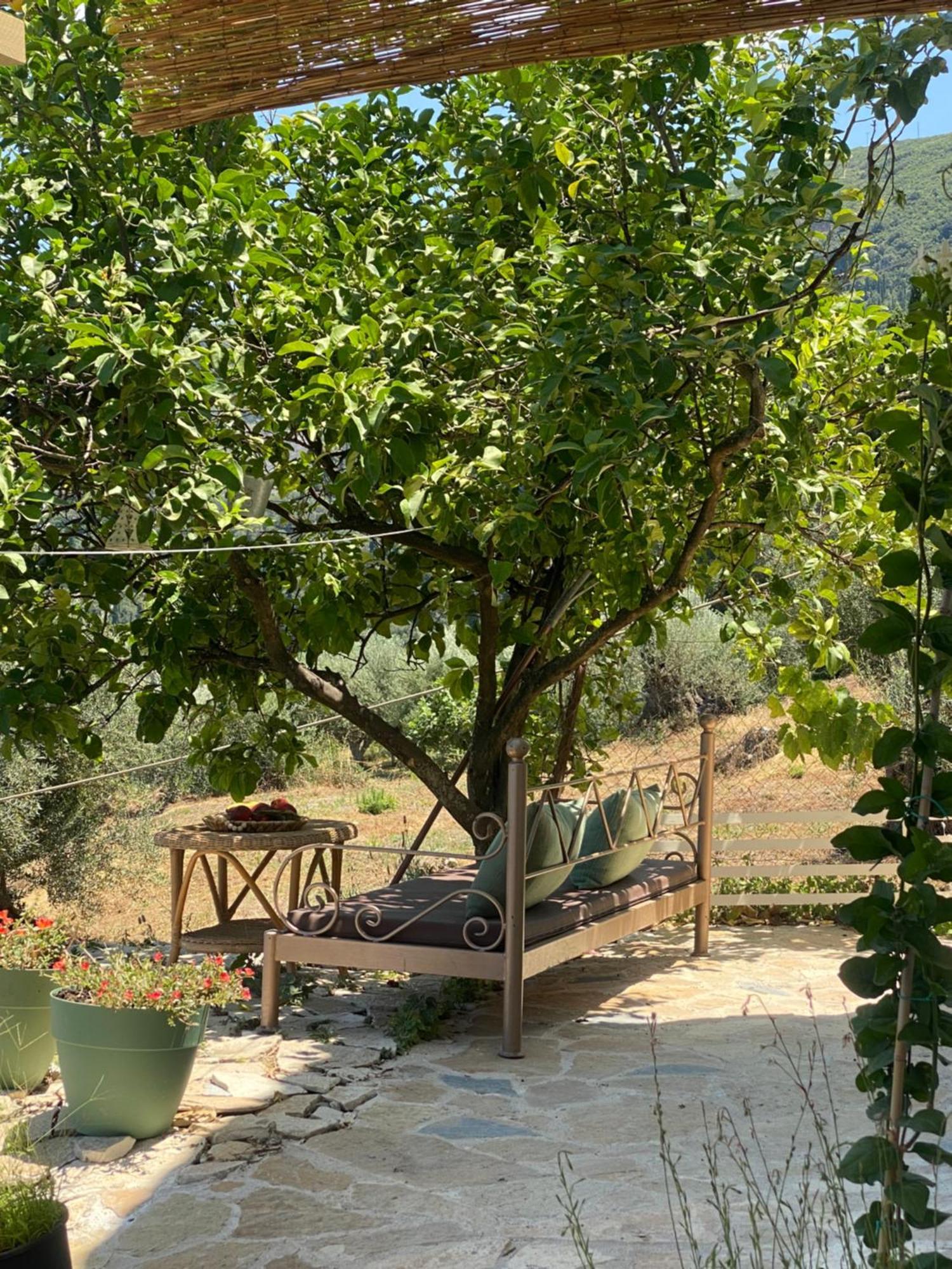 Dinateli Houses - Live Like A Local In Corfu Kastellanoi  Zewnętrze zdjęcie
